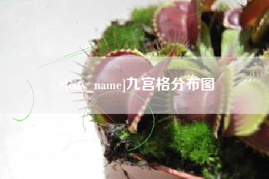 鹤岗九宫格分布图