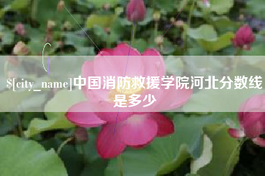 鹤岗中国消防救援学院河北分数线是多少