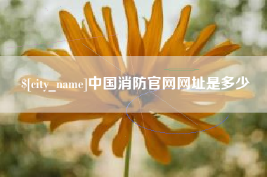 鹤岗中国消防官网网址是多少
