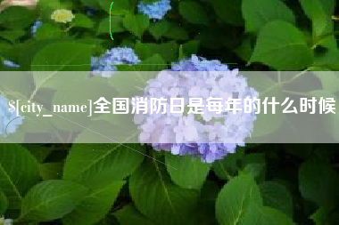 鹤岗全国消防日是每年的什么时候