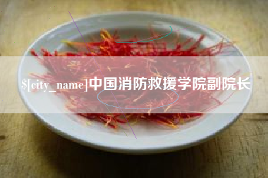 鹤岗中国消防救援学院副院长
