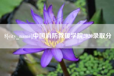 鹤岗中国消防救援学院2020录取分
