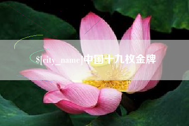 鹤岗中国十九枚金牌