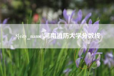鹤岗河南消防大学分数线