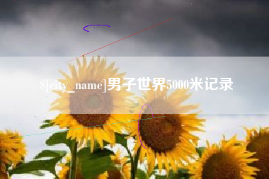 鹤岗男子世界5000米记录