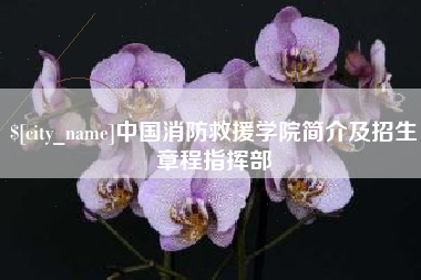 鹤岗中国消防救援学院简介及招生章程指挥部