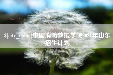 鹤岗中国消防救援学院2021年山东招生计划