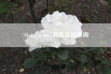 鹤岗消防证的查询