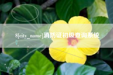 鹤岗消防证初级查询系统