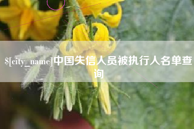 鹤岗中国失信人员被执行人名单查询