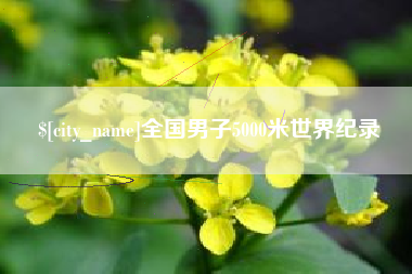 鹤岗全国男子5000米世界纪录