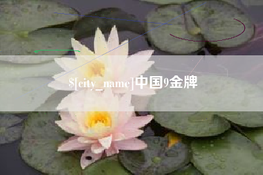鹤岗中国9金牌