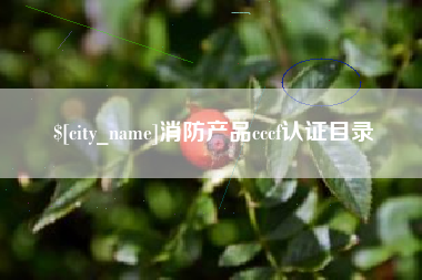 鹤岗消防产品cccf认证目录