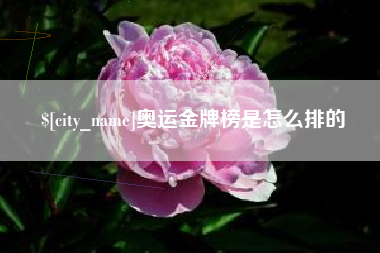 鹤岗奥运金牌榜是怎么排的
