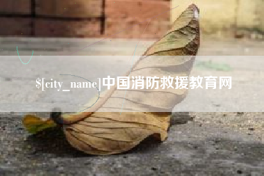 鹤岗中国消防救援教育网