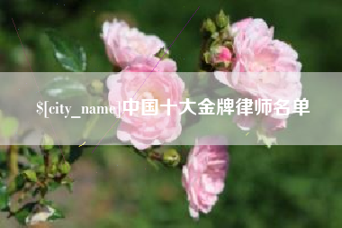 鹤岗中国十大金牌律师名单