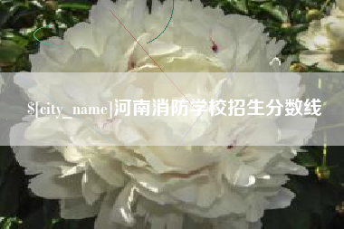 鹤岗河南消防学校招生分数线