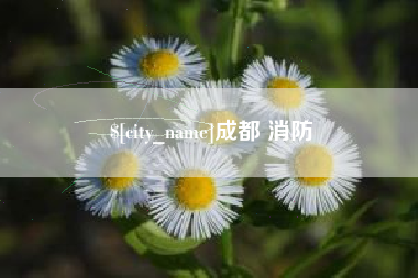 鹤岗成都 消防