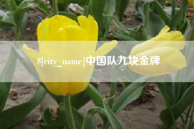 鹤岗中国队九块金牌