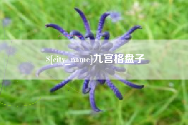鹤岗九宫格盘子