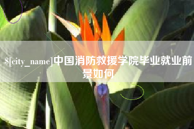 鹤岗中国消防救援学院毕业就业前景如何