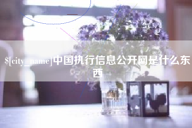 鹤岗中国执行信息公开网是什么东西