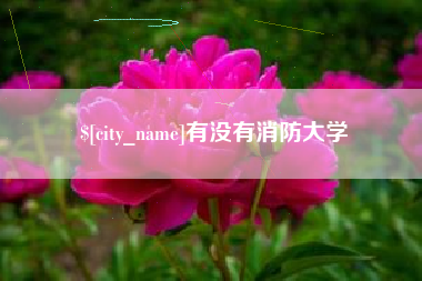 鹤岗有没有消防大学