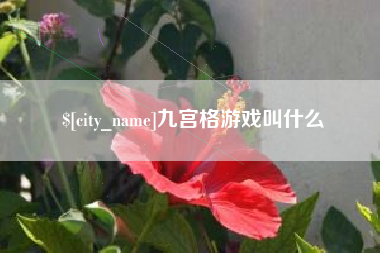 鹤岗九宫格游戏叫什么