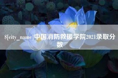 鹤岗中国消防救援学院2021录取分数