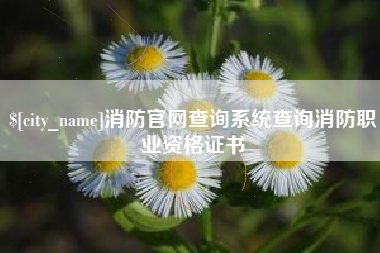 鹤岗消防官网查询系统查询消防职业资格证书