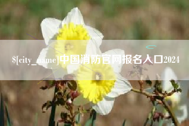 鹤岗中国消防官网报名入口2024