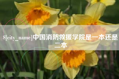 鹤岗中国消防救援学院是一本还是二本