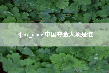 鹤岗中国夺金大项是谁