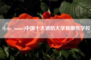 鹤岗中国十大消防大学有哪些学校