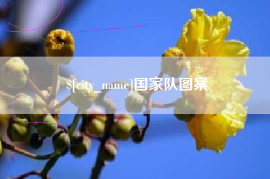 鹤岗国家队图案