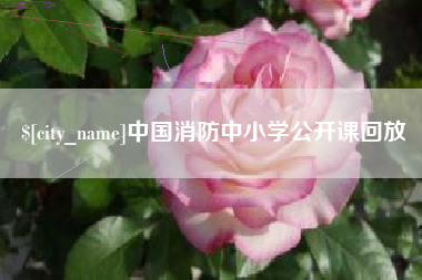 鹤岗中国消防中小学公开课回放