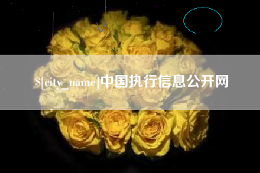 鹤岗中国执行信息公开网