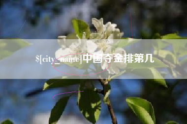 鹤岗中国夺金排第几