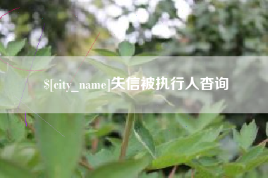 鹤岗失信被执行人杳询