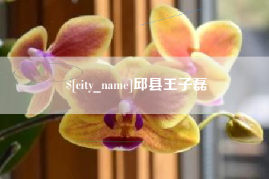鹤岗邱县王子磊