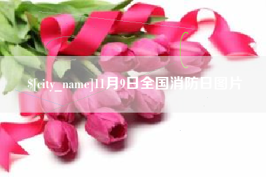 鹤岗11月9日全国消防日图片