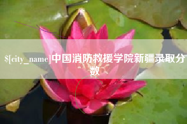 鹤岗中国消防救援学院新疆录取分数