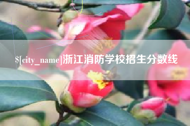 鹤岗浙江消防学校招生分数线