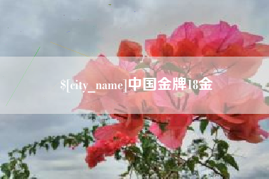 鹤岗中国金牌18金