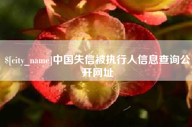 鹤岗中国失信被执行人信息查询公开网址