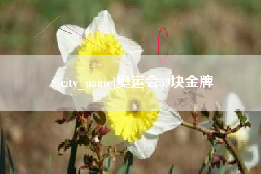 鹤岗奥运会39块金牌