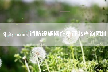 鹤岗消防设施操作员证书查询网址