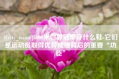 鹤岗5000米世界冠军穿什么鞋-它们是运动员取得优异成绩背后的重要“功臣”