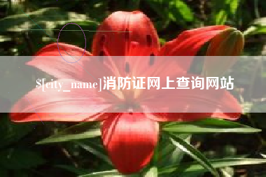 鹤岗消防证网上查询网站