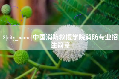 鹤岗中国消防救援学院消防专业招生简章